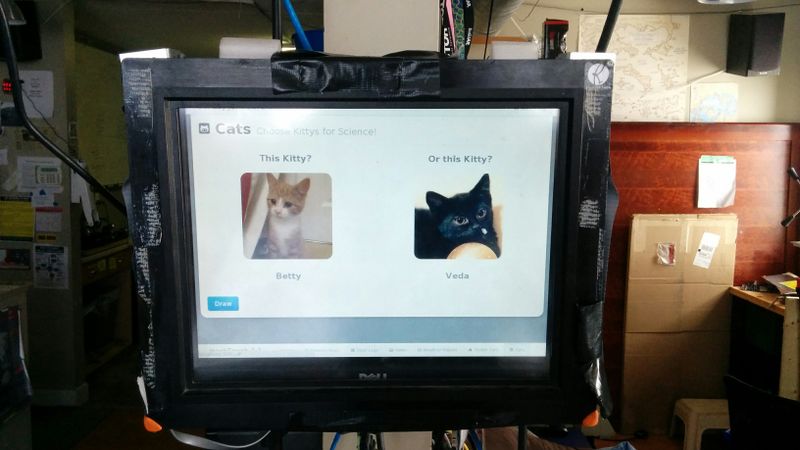 File:HackTouch 2.0 with Kittens.jpg